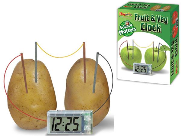 Science Matters Fruit and Veg Clock Science Kit